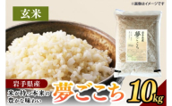 夢ごこち 「玄米」 10kg | 米 お米 玄米 おこめ ゆめごこち  冷めてもおいしい 岩手県 (CA015)