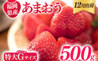 福岡県産 あまおう 500g （250g×2パック） いちご 12月中発送 いちご 苺 フルーツ 果物 くだもの 大粒Gサイズ グランデ 農家直送 大粒 不揃い 福岡県 福岡 九州 グルメ お取り寄せ