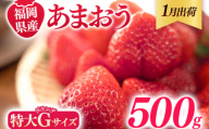 福岡県産 あまおう 500g （250g×2パック） いちご 1月中発送 いちご 苺 フルーツ 果物 くだもの 大粒Gサイズ グランデ 農家直送 大粒 不揃い 福岡県 福岡 九州 グルメ お取り寄せ