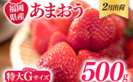 福岡県産 あまおう 500g （250g×2パック） いちご 2月中発送 いちご 苺 フルーツ 果物 くだもの 大粒Gサイズ グランデ 農家直送 大粒 不揃い 福岡県 福岡 九州 グルメ お取り寄せ