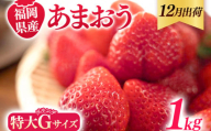 福岡県産 あまおう 1000g （250g×4パック） いちご 12月中発送 いちご 苺 フルーツ 果物 くだもの 大粒Gサイズ グランデ 農家直送 大粒 不揃い 福岡県 福岡 九州 グルメ お取り寄せ