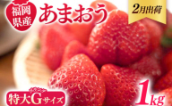 福岡県産 あまおう 1000g （250g×4パック） いちご 2月中発送 いちご 苺 フルーツ 果物 くだもの 大粒Gサイズ グランデ 農家直送 大粒 不揃い 福岡県 福岡 九州 グルメ お取り寄せ