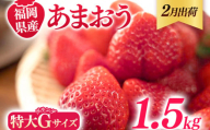 福岡県産 あまおう 1500g （250g×6パック） いちご 2月中発送 いちご 苺 フルーツ 果物 くだもの 大粒Gサイズ グランデ 農家直送 大粒 不揃い 福岡県 福岡 九州 グルメ お取り寄せ