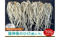 【 期間限定 (2025年3月10日まで受付) 】龍神様のひげ  ( 根ニラ )  700g (100g×7袋) ／ 株式会社 すわファーム 野菜 香味野菜 根菜 無農薬 高原野菜【91-01】