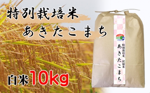 【特別栽培米 炭壌米 あきたこまち】令和4年産 白米 10kg 140366 - 秋田県仙北市