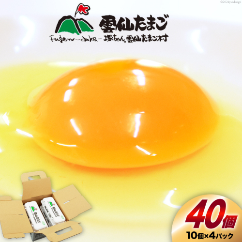 BI024 雲仙たまごLサイズ  40個 (10個入り×4パック) (37個＋割れ補償3個入り) [ 卵 たまご 生卵 鶏卵 赤卵 玉子 新鮮 塚ちゃん雲仙たまご村 長崎県 島原市 ] 1403717 - 長崎県島原市