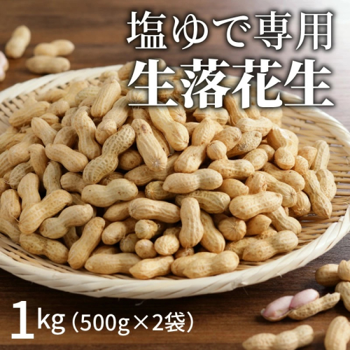 【2025年発送】事前予約 やみつき極うま “金の生落花生” 1kg(500g×2袋) 生ピーナッツ 塩ゆで専用　H105-141 140409 - 愛知県碧南市