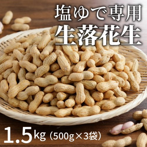 【2025年発送】事前予約 やみつき極うま “金の生落花生” 1.5kg(500g×3袋) 生ピーナッツ 塩ゆで専用　H105-142 140410 - 愛知県碧南市