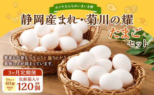 【 3ヶ月 定期便 】「 ホソヤさんちのいきいき卵 」40個 （割れ補償5個含む）セット×3回 計120個｜  静岡産まれ 菊川の耀たまご  化粧箱入 たまご 卵 玉子 生卵 静岡 国産 1404499 - 静岡県菊川市