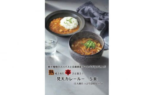 No.390 【5食】梵天冷凍カレールーセット / 名物カレー スパイス 自家製麺 地元産野菜 兵庫県 1404908 - 兵庫県川西市