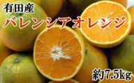 【爽快】有田産バレンシアオレンジ 約7.5kg（M～2Lサイズおまかせ）★2025年6月中旬より順次発送予定【TM178】