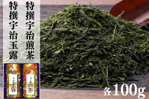 宇治茶 特撰玉露・特撰煎茶飲み比べセット 100g×2缶〈お茶 茶 煎茶 緑茶 玉露 特選 高級 茶葉 宇治茶 飲み比べ セット 茶筒 お茶缶〉 1404957 - 京都府宇治田原町