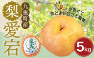 九重町産 梨 「愛宕」 約5kg 果物 フルーツ 贈答品 【2024年12月上旬-12月下旬発送予定】