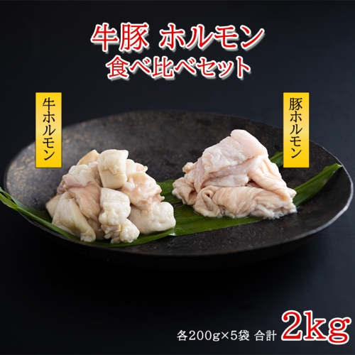 九州産　牛・豚ホルモン　食べ比べセット　2kg