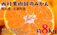 『西村果樹園』のみかん★約8kg(S-2Sサイズ)《10月上旬-1月下旬頃出荷》 予約受付中 フルーツ 秋 旬★熊本県玉名郡玉東町 みかん 減農薬・有機肥料で育てた自慢のおいしさ！