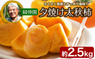 『緑伸園』の大玉 夕焼け太秋柿 約2.5kg 4-7玉前後 予約受付中《11月下旬-12月中旬頃出荷》 柿 ★大きく綺麗な秋の夕日のような色と形★