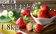 BS-330【季節限定】鹿児島県産いちご（さつまおとめ） 1.8kg（約450g×4トレー） 【1月～4月順次発送】