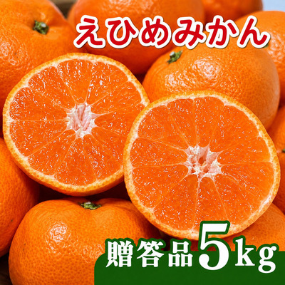 【先行予約】贈答品 愛媛みかん 5kg 傷み補償 250g 増量 発送期間 2026年11月上旬以降 みかん 愛媛みかん 温州みかん 南柑20号 柑橘 蜜柑 かんきつ 冬 秋 旬 正月 愛媛 愛媛県 愛南町 お歳暮 プレゼント くだもの 果物 フルーツ スイーツ おやつ お菓子 和菓子 甘い 糖度 オレンジ 冷凍 みかん ジュース 清家ばんかんビレッジ 140687 - 愛媛県愛南町