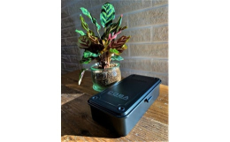 TRUSCOのTOOL BOXにCOBAのロゴを入れたスタイリッシュなBOXです。積み重ねることができるので収納も簡単。お洒落に、見せる収納もできちゃいます。工具や筆記道具・裁縫道具入れなどにも使えま