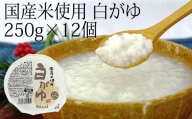 聖食品 国産米使用　白がゆ 250g×12個入【1282201】