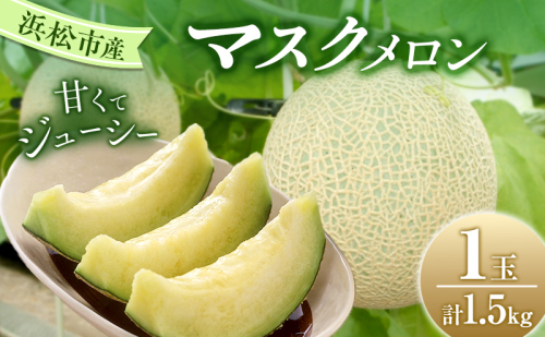 【2026年7月上旬より順次発送】静岡県浜松市産マスクメロン1.5kg×1個 1407642 - 静岡県浜松市