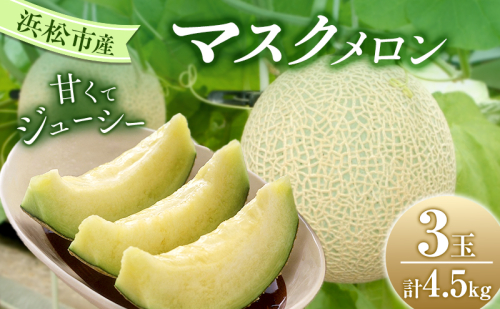 【2026年7月上旬より順次発送】静岡県浜松市産マスクメロン1.5kg×3個 1407657 - 静岡県浜松市