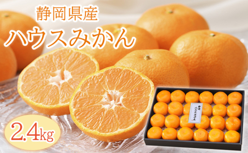 【2026年6月下旬より順次発送】静岡県浜松市産ハウスみかん2.4kg 1407687 - 静岡県浜松市