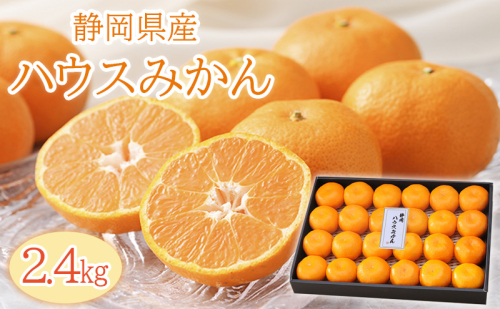 【2025年6月下旬より順次発送】静岡県浜松市産ハウスみかん2.4kg 1407687 - 静岡県浜松市