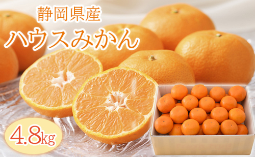 【2026年6月下旬より順次発送】静岡県浜松市産ハウスみかん4.8kg 1407694 - 静岡県浜松市