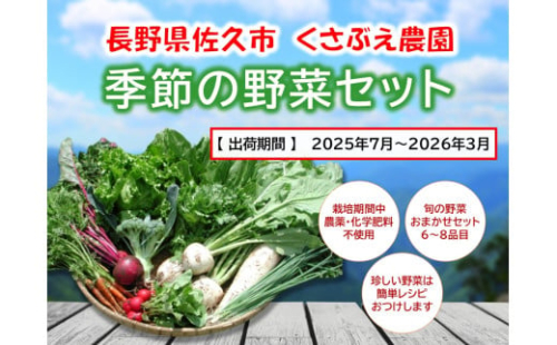 くさぶえ農園『季節の野菜6～8品目セット』（2025年7月～2026年3月出荷／北海道・沖縄・離島は配送不可）高原 無農薬 産地直送 新鮮 旬彩 簡単レシピ 先行予約【 産直 高原野菜 季節の野菜 旬の野菜 有機野菜 有機栽培 農薬 化学肥料 不使用 佐久市 】