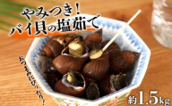 やみつき　バイ貝の塩茹で　1.5kg