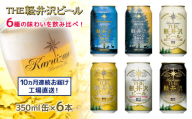 【10ヶ月定期便】 THE軽井沢ビール 6種6缶 飲み比べ ギフトセット 10カ月定期便  【 軽井沢ブルワリー THE軽井沢ビール 6種 6本分 詰め合わせ 豪華 飲み比べ セット クラフトビール 地ビール 缶ビール ビール 飲み比べ 6本 黒ビール ホワイトビール 長野県 佐久市 】