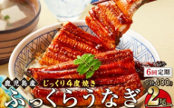 【6回定期】うなぎ 蒲焼 200g×2尾【鹿児島産】地下水で育てた絶品鰻