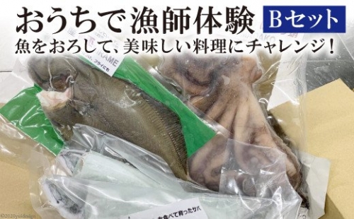 おうちで漁師体験Ｂセット 141034 - 長崎県雲仙市