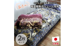 【ふるさと納税】＜シングル2枚組＞贅沢カシミヤウール混わた入り嵩高毛布 CAK-161-2P【1506840】