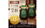 ＜毎月定期便＞ストロングマヌカハニー＜MGO860+＞500g×2個　全12回【4050135】