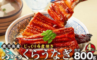 うなぎ 蒲焼 200g×4尾【鹿児島産】地下水で育てた絶品鰻