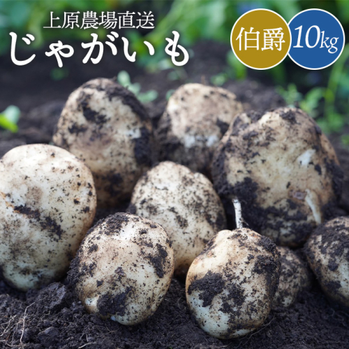 上原農場直送　じゃがいも（伯爵） 10kg【S～2Lサイズ混合】【6600301】 1412073 - 北海道中標津町
