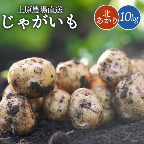 上原農場直送　じゃがいも（北あかり） 10kg【S～2Lサイズ混合】【6600401】 1412074 - 北海道中標津町