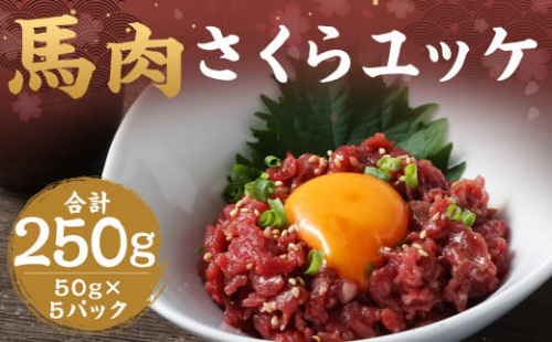 馬肉 さくら ユッケ 約250g（50g×5パック） 馬肉 赤身 馬刺し 馬刺 馬ユッケ 熊本馬刺し 小分け カット 1412154 - 熊本県益城町