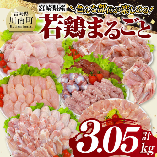 宮崎県産 若鶏 まるごと 3.05kg 【 もも むね ささみ 砂肝 手羽先 手羽元 小肉 鶏肉 とり肉 セット ごはん 料理 】 1413003 - 宮崎県川南町