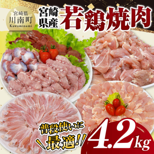 宮崎県産 若鶏 焼肉 4.2kg 【 もも 砂肝 小肉 チキンリブ 肩肉 鶏肉 とり肉 真空パック 】 1413008 - 宮崎県川南町