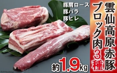 長崎県産 雲仙高原赤豚 ブロック肉3種 約1900g 141306 - 長崎県雲仙市