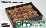 [訳あり]カルシの森特選 原木しいたけ(生)約1kg