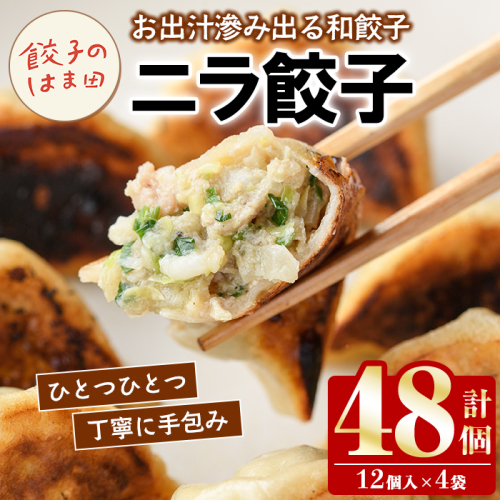 ＼テレビで紹介されました！／ニラ餃子(12個入×4袋・計48個) 餃子 生餃子 ギョウザ ぎょうざ ギョーザ セット 詰め合わせ おかず お惣菜 冷凍 和風 水餃子 にら ニラ 手作り【餃子のはま田】akn096-01 1413324 - 鹿児島県阿久根市