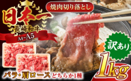 【訳あり】【A4～A5】長崎和牛焼肉切り落とし(肩ロース・バラ）　1kg（500g×2p）【株式会社 MEAT PLUS】 [QBS004] 肉 牛肉 こま切れ A4～A5ランク 訳アリ ワケあり しゃぶしゃぶ すき焼き