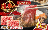 【A4～A5】長崎和牛切り落とし　1kg(500g×2p）【株式会社 MEAT PLUS】 [QBS006] 牛肉 切り落とし きりおとし 牛肉 切り落とし しゃぶしゃぶ すき焼き 長崎和牛 牛肉 きりおとし