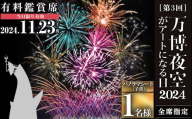 ＜パノラマシート(子供)＞万博夜空がアートになる日2024 鑑賞チケット(1枚・1名様分)【m62-04-A】【ディヴォーション】