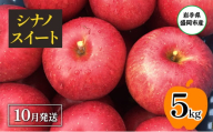 【10月発送】盛岡市産 田村ふぁーむ 家庭用 シナノスイート5kg（14～20玉）