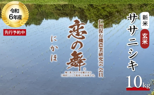 令和6年産 新米 11月から発送 特別栽培米 恋の舞 ササニシキ にかほ 玄米 10kg 1415000 - 秋田県にかほ市